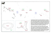 men19 marquesas to santa cruz_thumb.gif